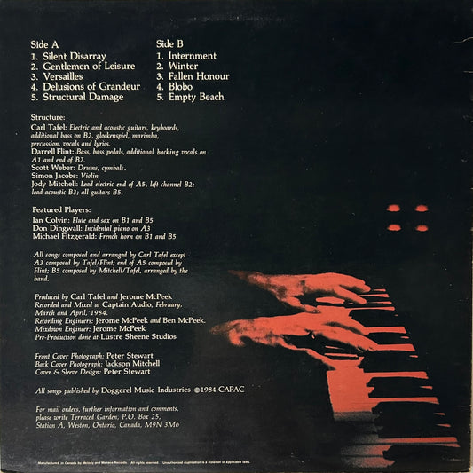 Terraced Garden - Braille (LP)