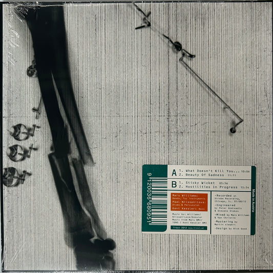 Williams / Nilssen-Love / Kessler - Boneshaker (EP)