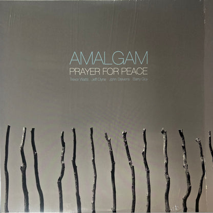 Amalgam - Prayer for Peace (LP)